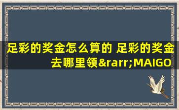 足彩的奖金怎么算的 足彩的奖金去哪里领→MAIGOO知识